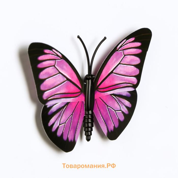 Магнит пластик "Бабочка" МИКС 9,5х8,5 см