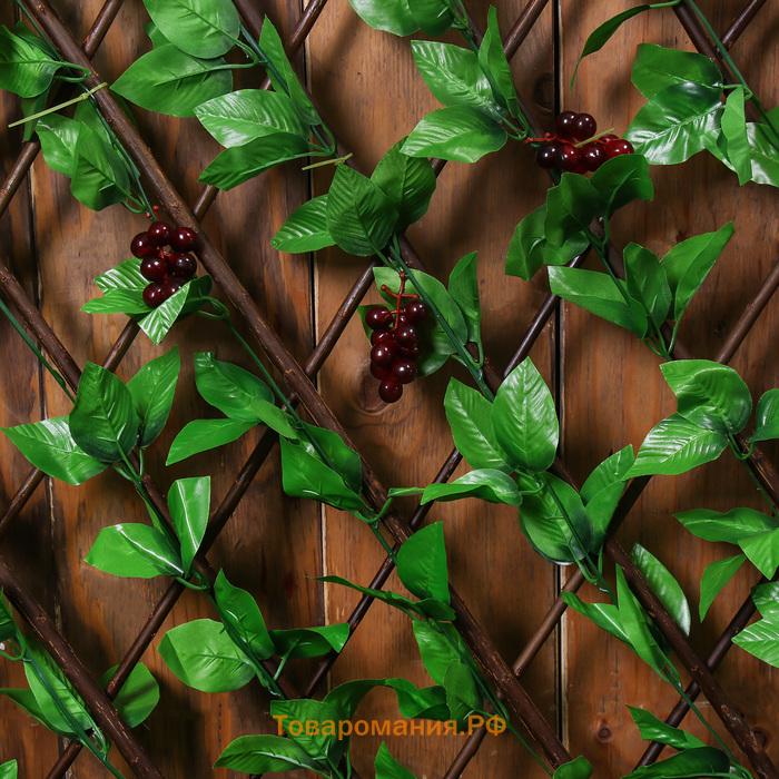 Ограждение декоративное, 120×40 см, «Виноград», Greengo