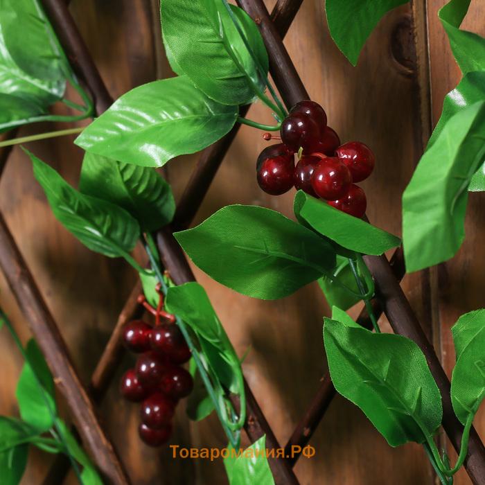 Ограждение декоративное, 120×40 см, «Виноград», Greengo