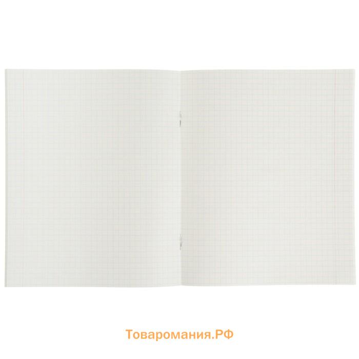 Тетрадь 36 листов в клетку Calligrata «Бабочки», обложка мелованная бумага, блок №2 белизна 75% (серые листы), МИКС