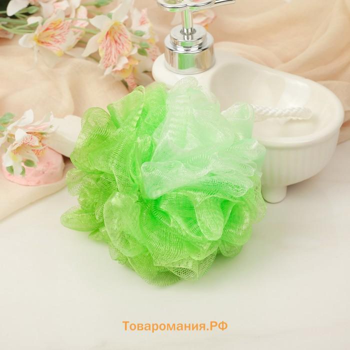 Мочалка для тела , 10×10×9 см, двухцветная, 40 гр, цвет МИКС