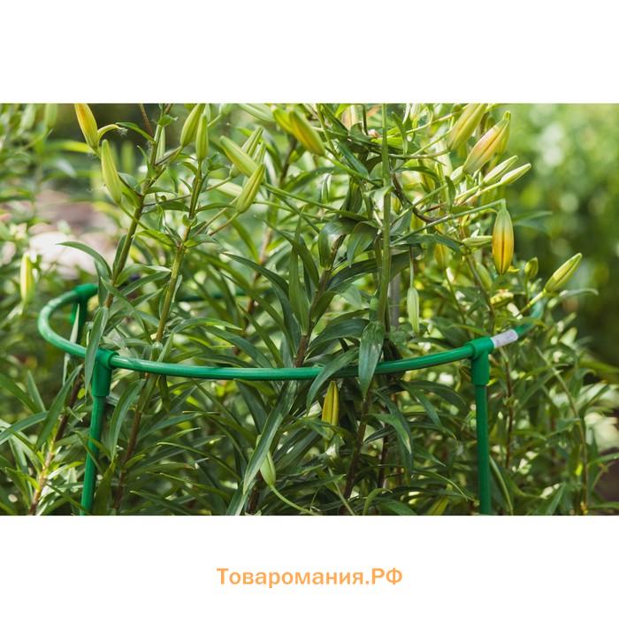Кустодержатель, d=50 см, h=100 см, ножка d=1 см, металл, зелёный, троеножка