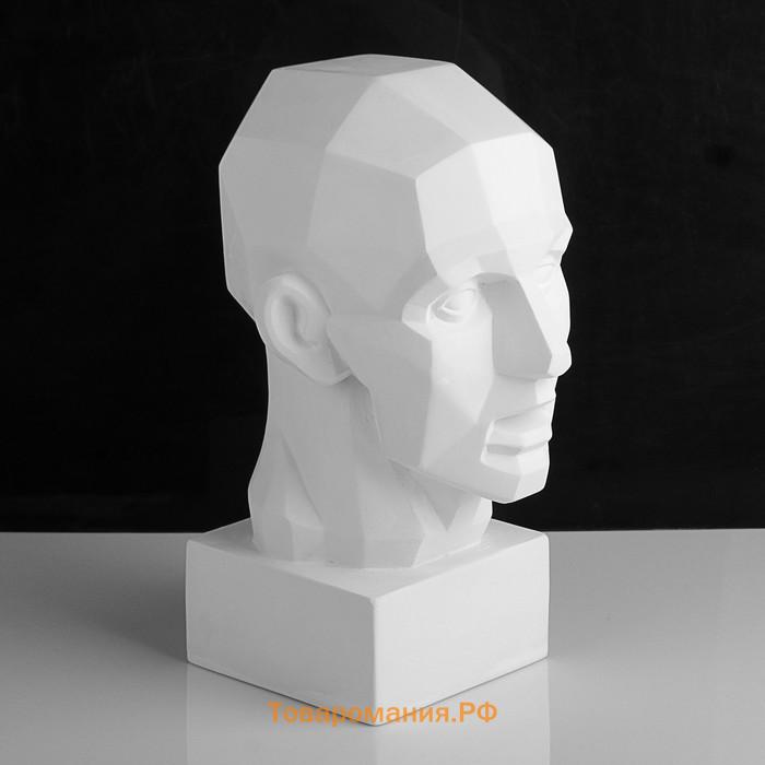 Гипсовая фигура анатомическая «Обрубовка головы по Гудону», 35.5×20.5×24 см