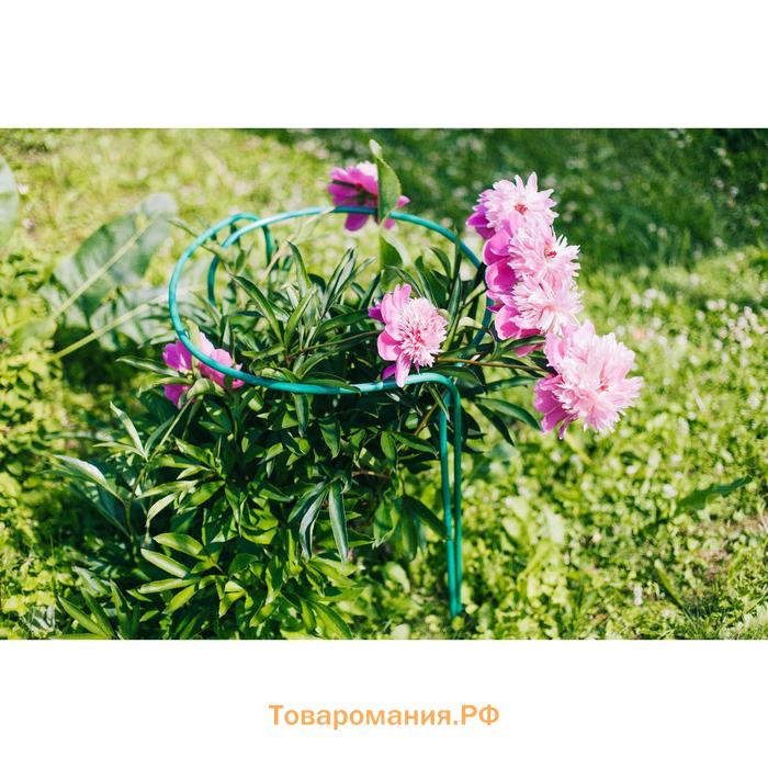 Кустодержатель, d=60 см, h=90 см, ножка d=1 см, металл, набор 2 шт., зелёный