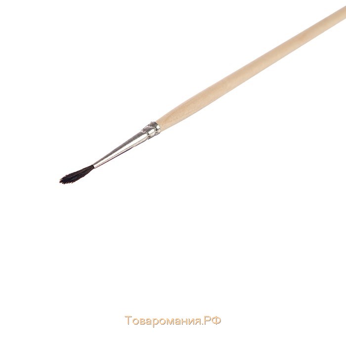 Кисть Белка круглая № 1 (диаметр обоймы 1 мм; длина волоса 10 мм), деревянная ручка, Calligrata