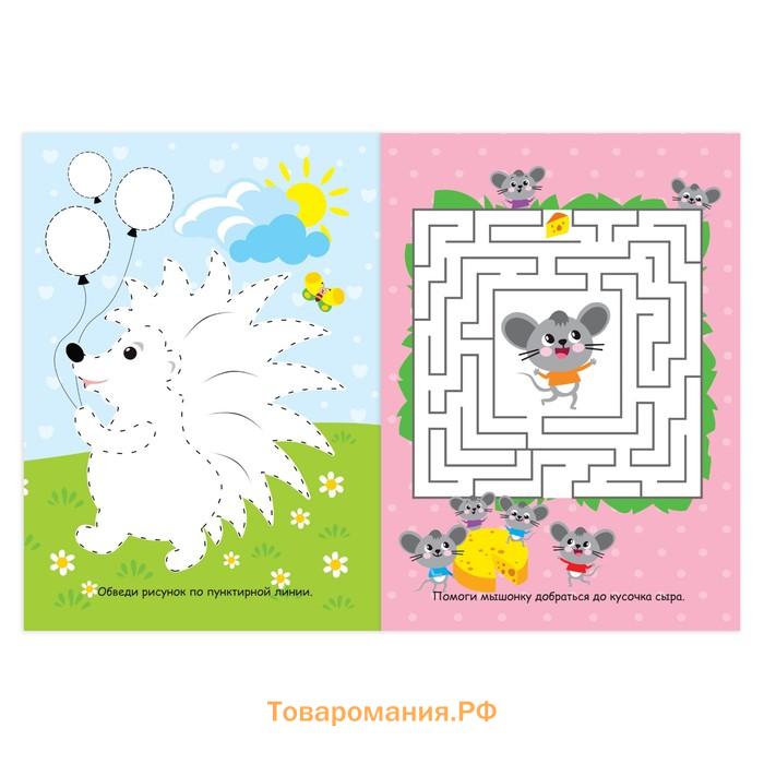 Книги с маркерами «Пиши-стирай. Для девочек», набор 2 шт. по 12 стр.