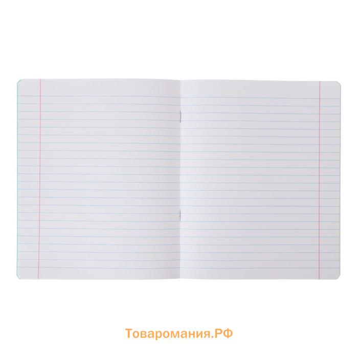 Тетрадь 18 листов в линейку «Зелёная обложка», с алфавитом, плотность 60 г/м², белые листы, термоупаковка 25 шт.