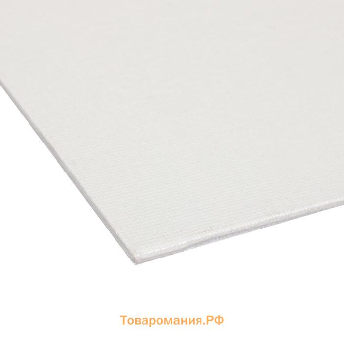 Холст на подрамнике «Гамма. Студия», хлопок 100%, 80×100×2 см, акриловый грунт, мелкозернистый, 280 г/м²