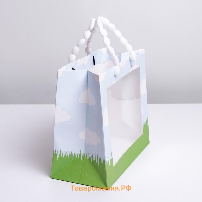 Пакет подарочный крафтовый с пластиковым окном, упаковка, «Friends», 24 х 20 х 11 см