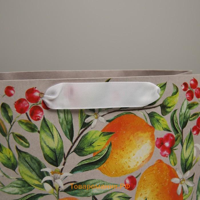 Пакет подарочный крафтовый, упаковка, «Лето», 22 х 17,5 х 8 см