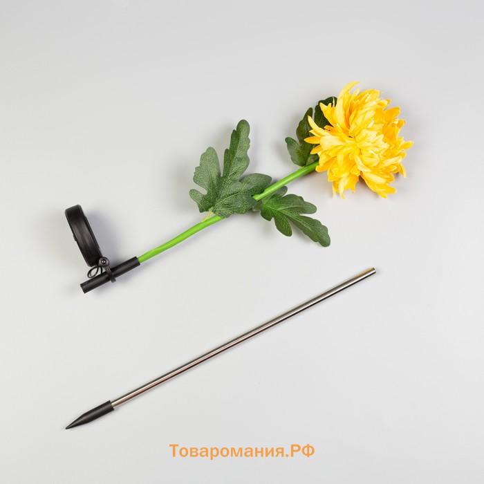 Садовый светильник «Хризантема жёлтая», уличный, на солнечной батарее, 80 см, 1 LED, свечение белое