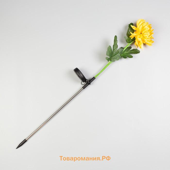 Садовый светильник «Хризантема жёлтая», уличный, на солнечной батарее, 80 см, 1 LED, свечение белое