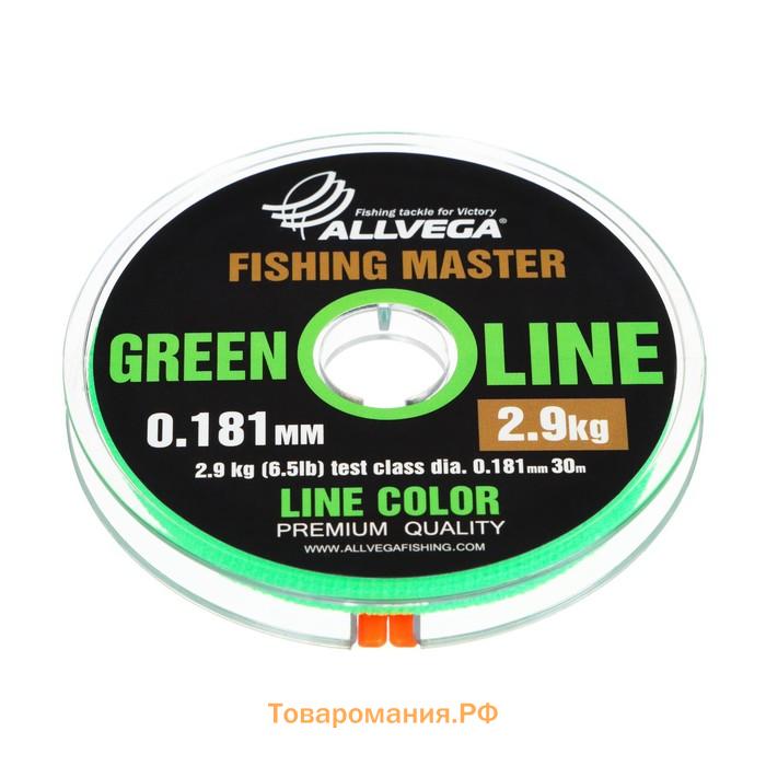 Леска монофильная ALLVEGA Fishing Master, диаметр 0.181 мм, тест 2.9 кг, 30 м, зеленая