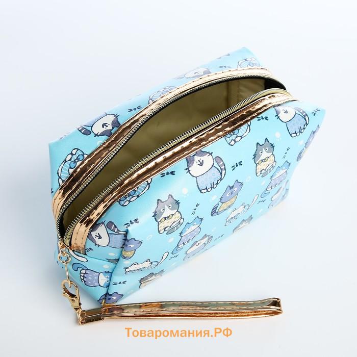 Косметичка на молнии объёмная, с ручкой, маленькая, с принтом, голубая