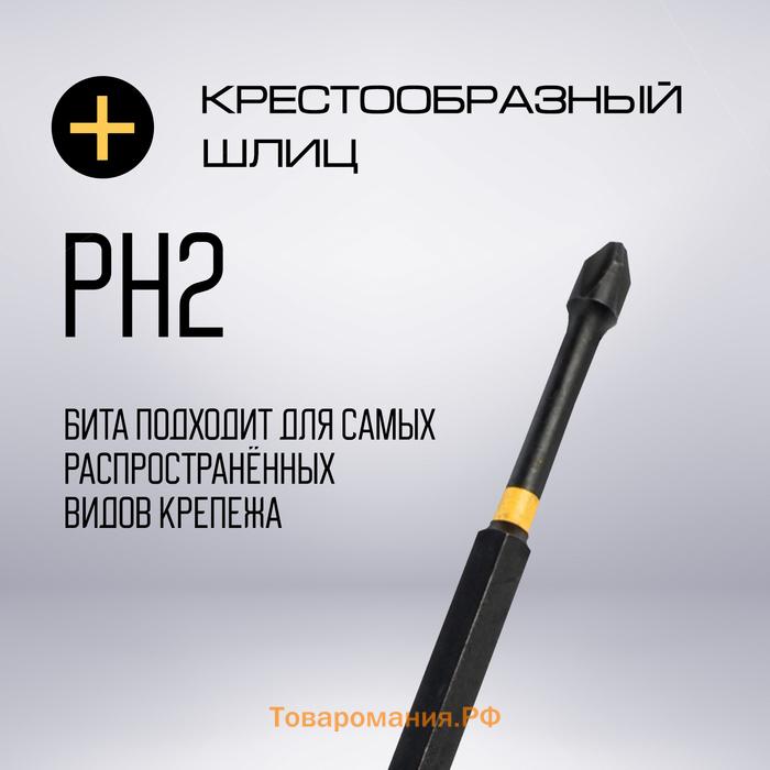 Бита ТУНДРА ПРОФИ, Torsion, сталь S2, PH2 х 127 мм, пластиковый кейс по 10 шт.