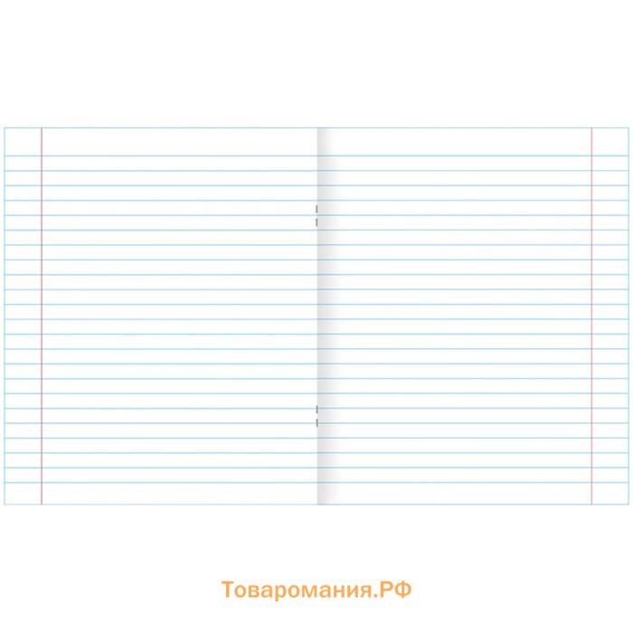 Тетрадь 12 листов в линейку «Зелёная обложка» обложка 60 г/м², белые листы