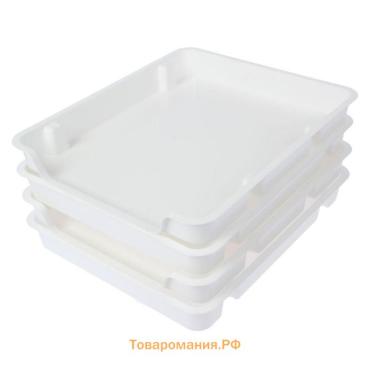 Набор лотков для заморозки продуктов Альтернатива, пластик, 34×29×9 см, 4 шт., белый