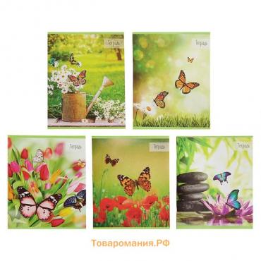 Тетрадь 36 листов в клетку Calligrata «Бабочки», обложка мелованная бумага, блок №2 белизна 75% (серые листы), МИКС
