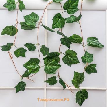 Лиана искусственная «Лист летний», 2.5 м